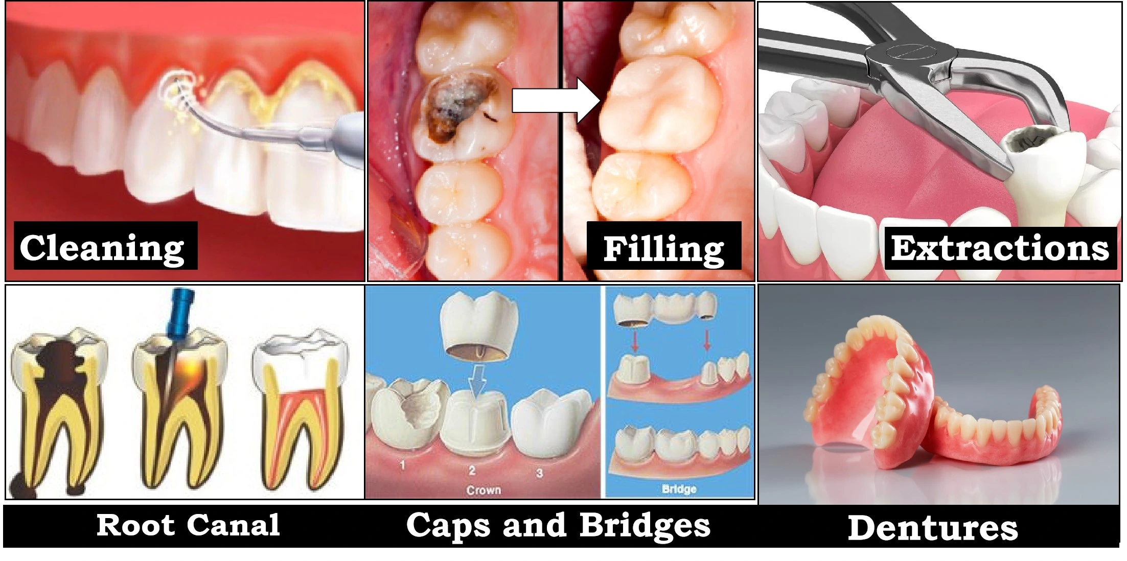 Dental Services | SCHC