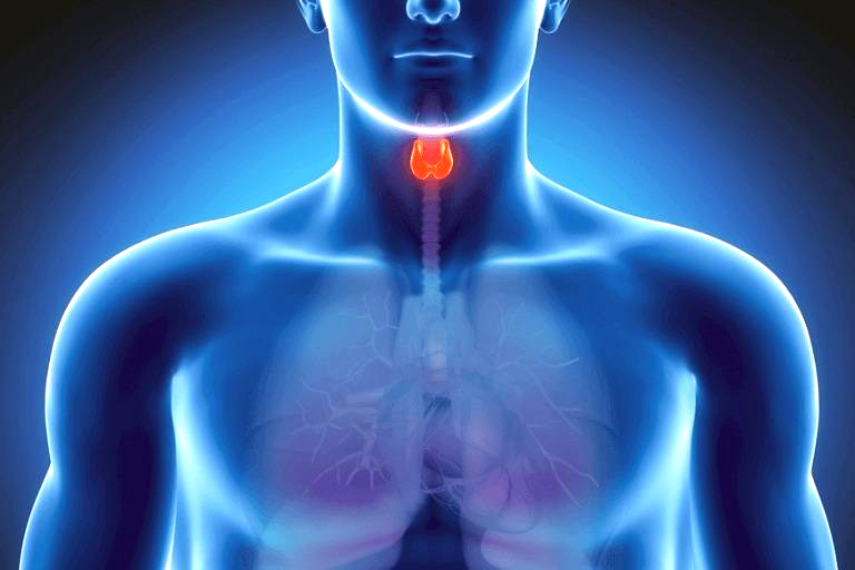 Thyroid Troubles: Your Tiny Powerhouse Needs Attention | Blog